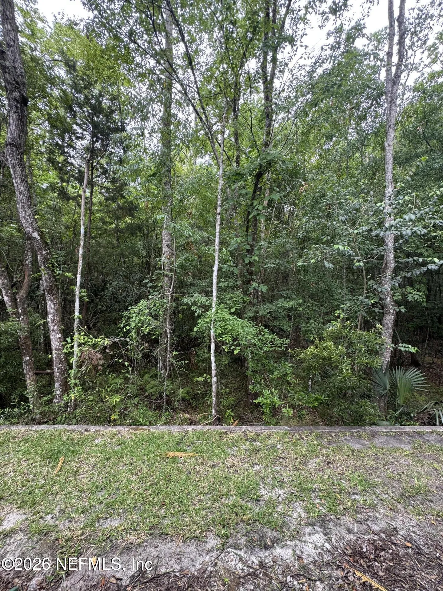8428 Thornbush Court Jacksonville FL 32216