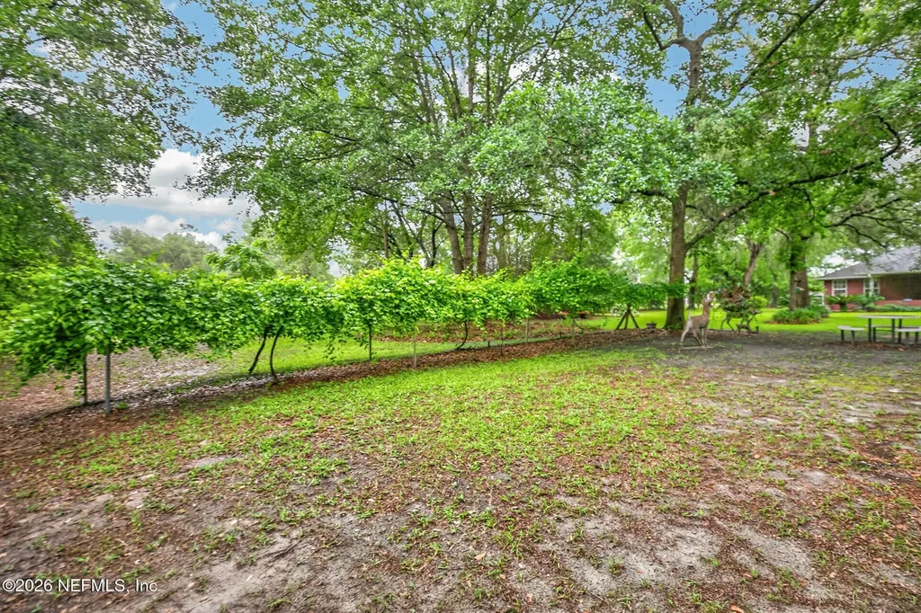 4237 Raintree Drive Macclenny FL 32063