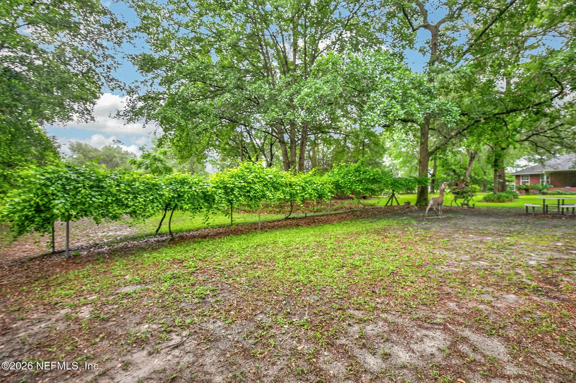 4237 Raintree Drive Macclenny FL 32063