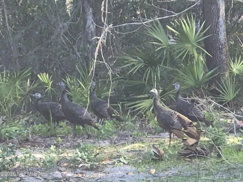 0 County Road 207a East Palatka FL 32131