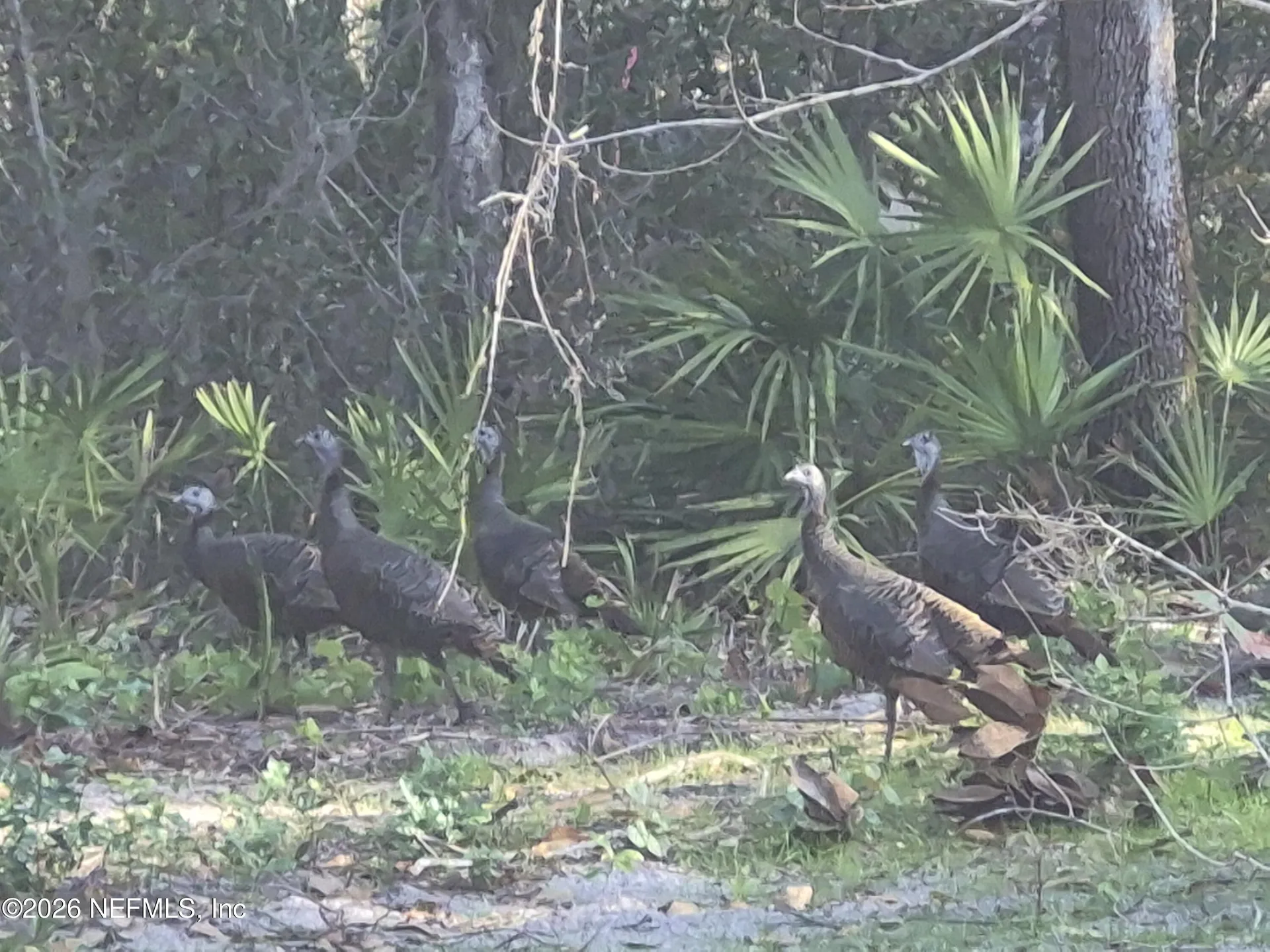 0 County Road 207a East Palatka FL 32131
