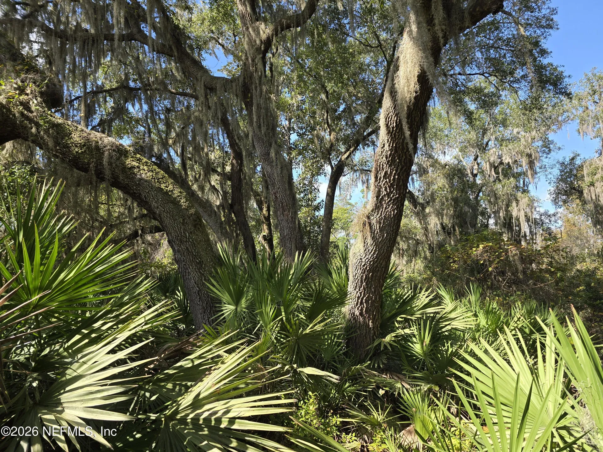 0 County Road 207a East Palatka FL 32131