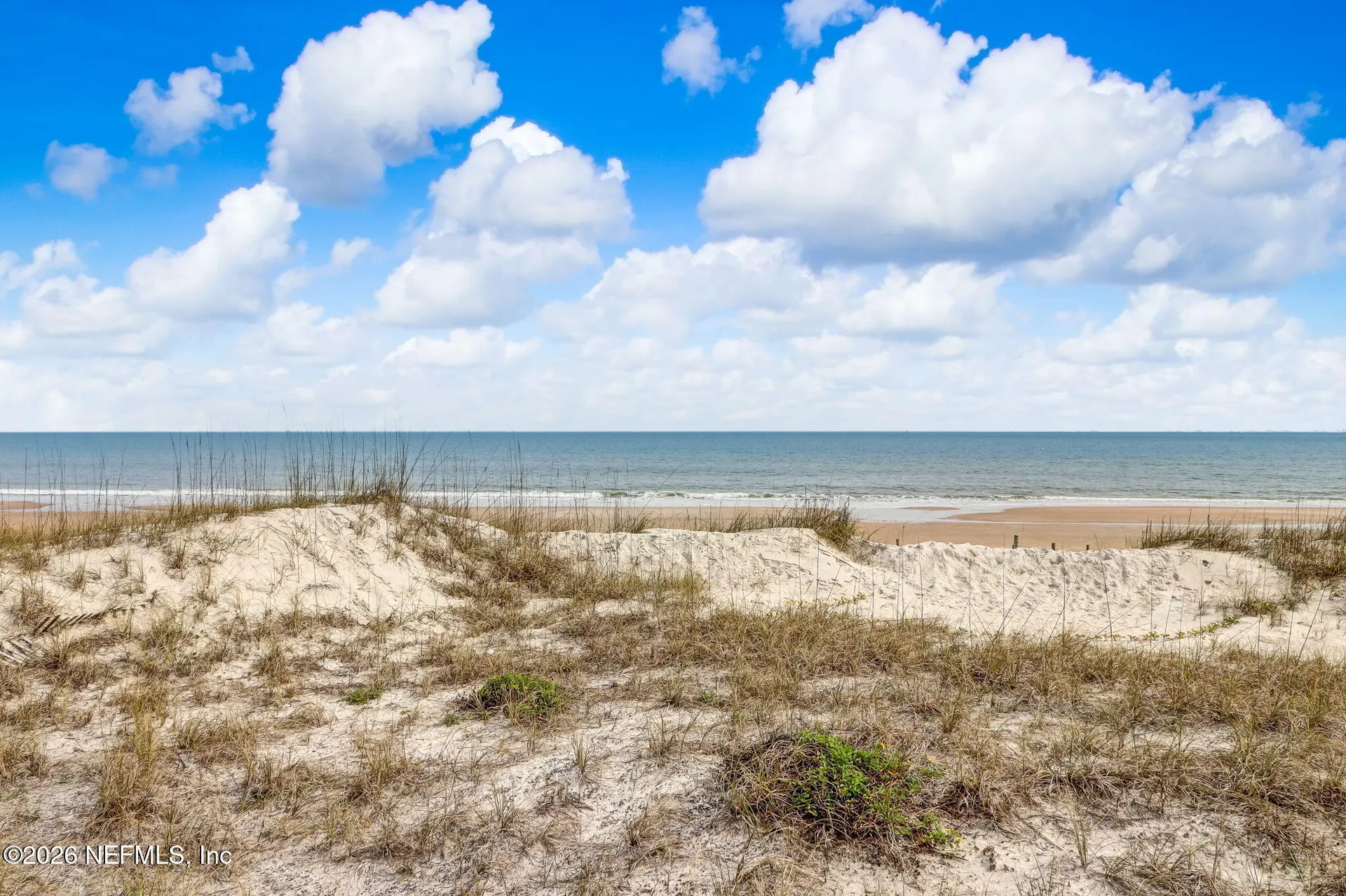 1230 Beech Street Fernandina Beach FL 32034