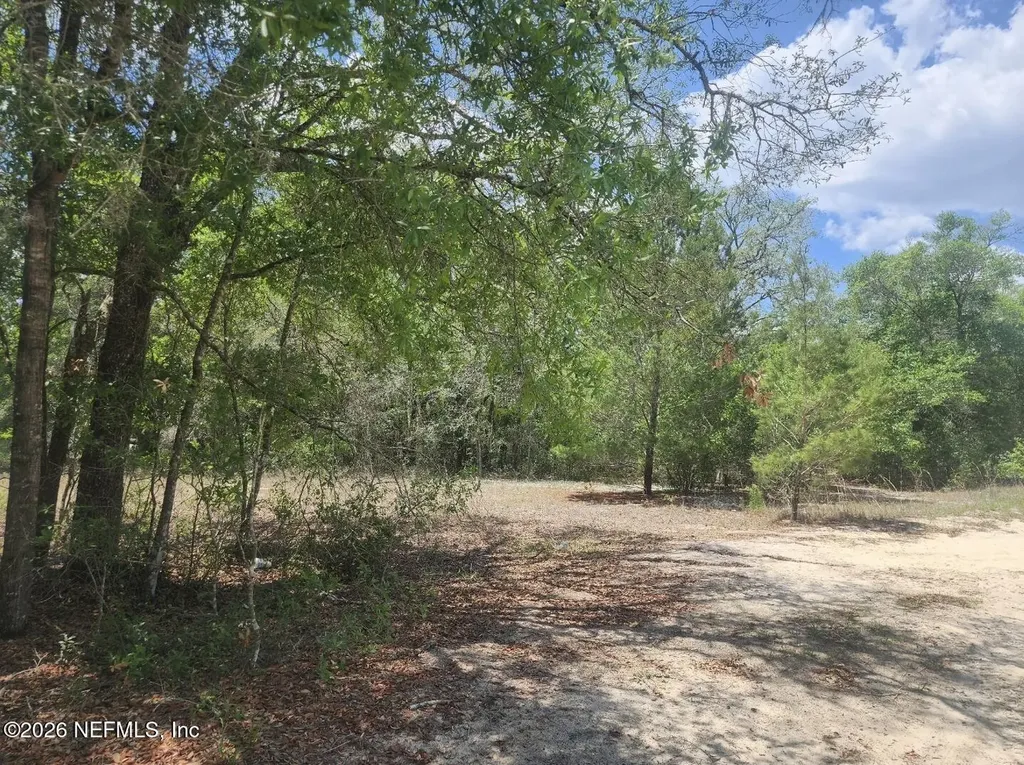 6399 Amherst Avenue Keystone Heights FL 32656