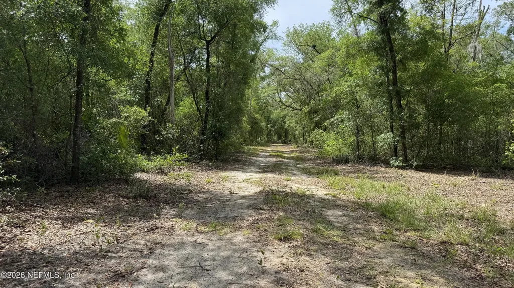 101 Eastwood Drive Interlachen FL 32148