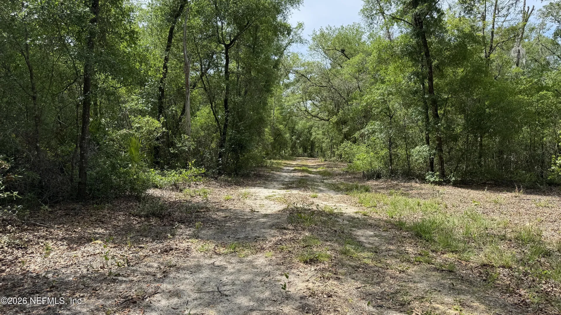 101 Eastwood Drive Interlachen FL 32148