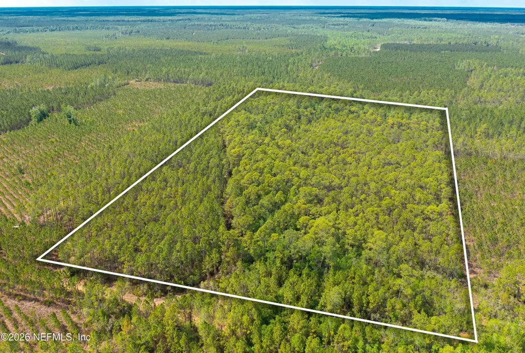 0 County Road 229 Sanderson FL 32087