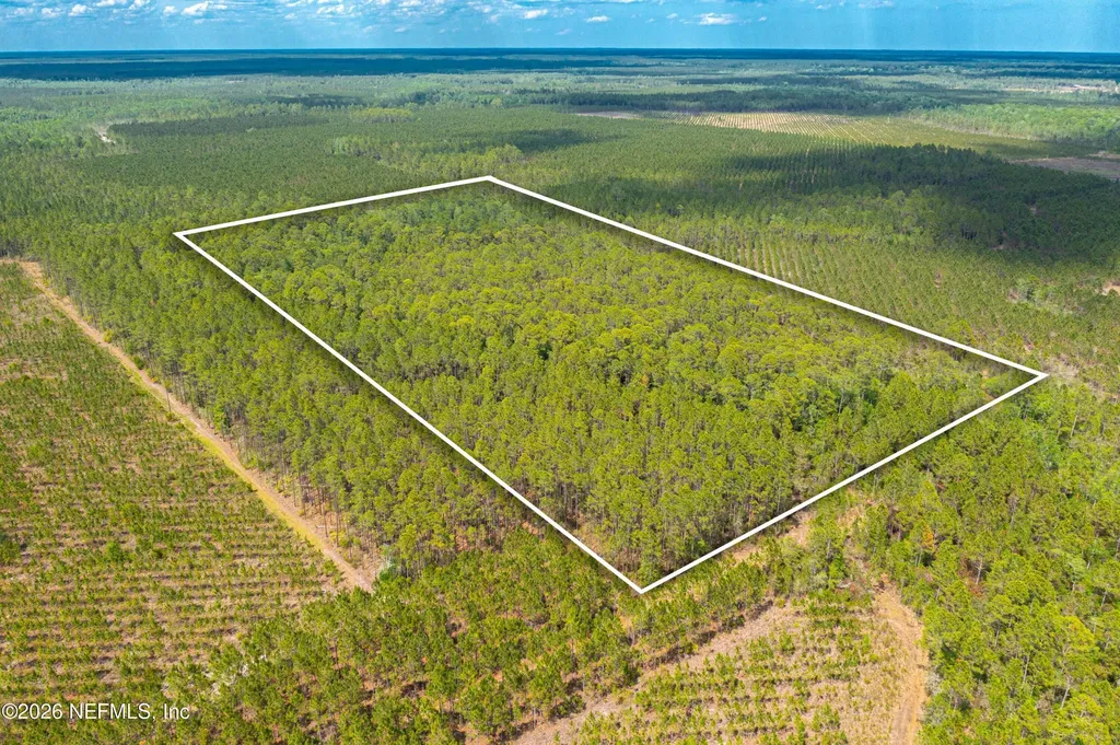0 County Road 229 Sanderson FL 32087
