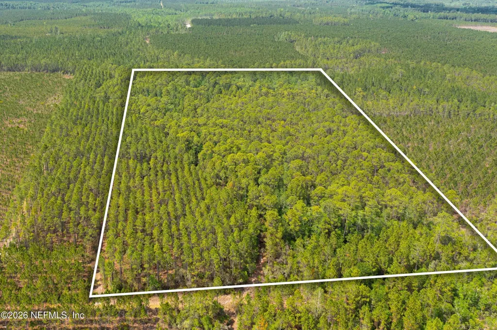 0 County Road 229 Sanderson FL 32087