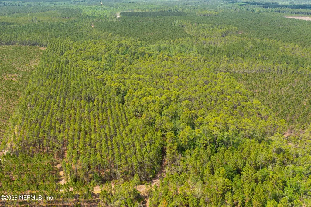 0 County Road 229 Sanderson FL 32087