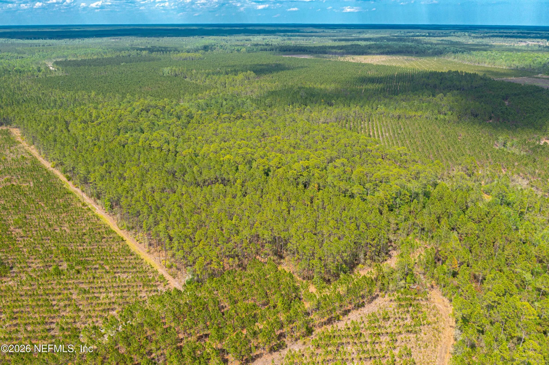 0 County Road 229 Sanderson FL 32087