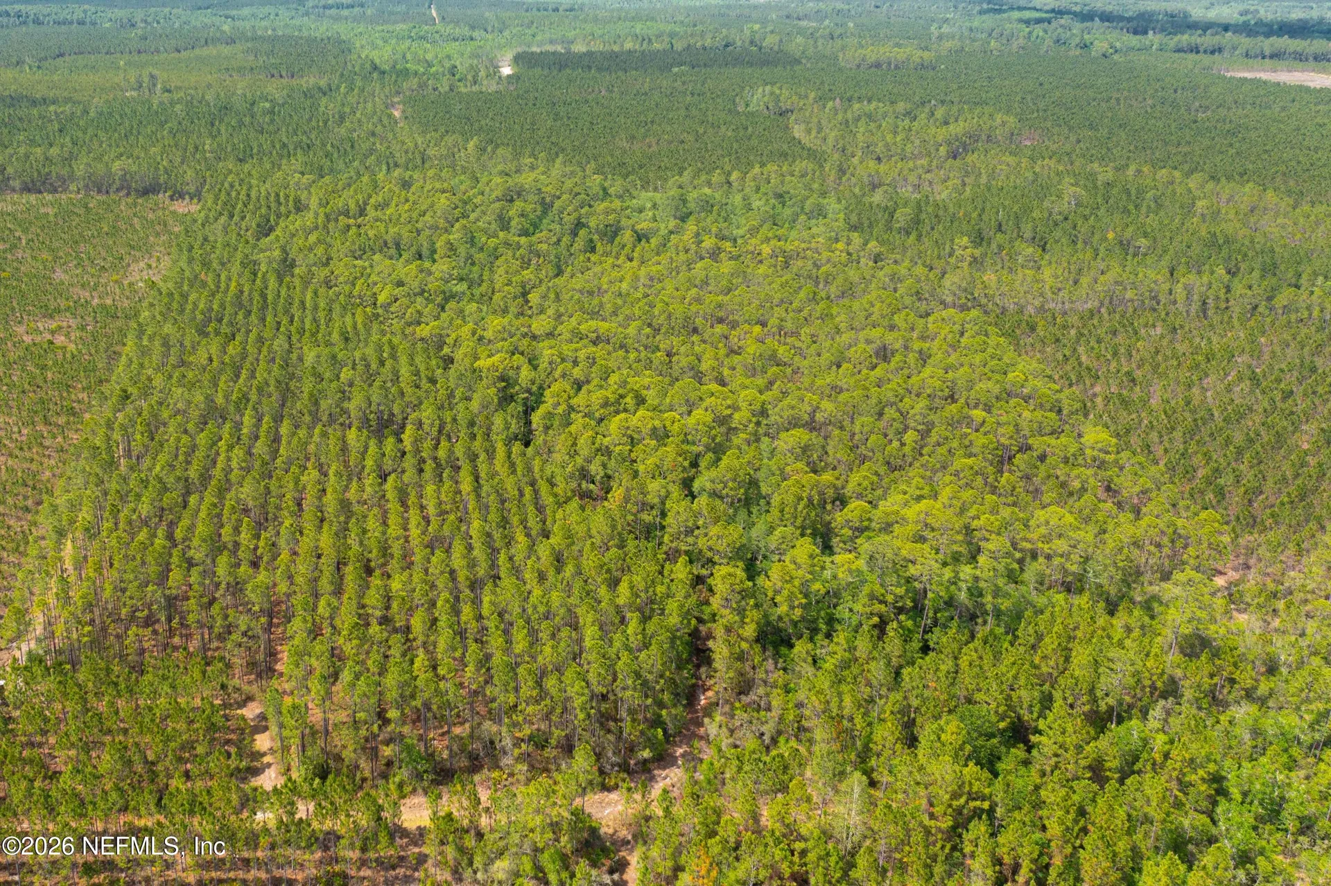 0 County Road 229 Sanderson FL 32087