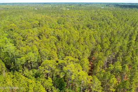 0 County Road 229 Sanderson FL 32087