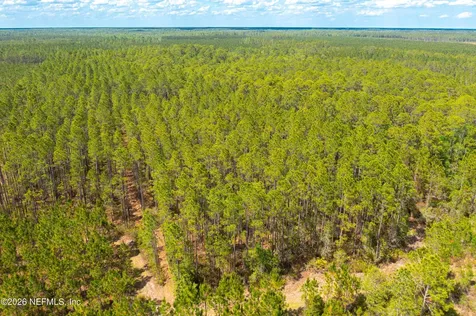 0 County Road 229 Sanderson FL 32087