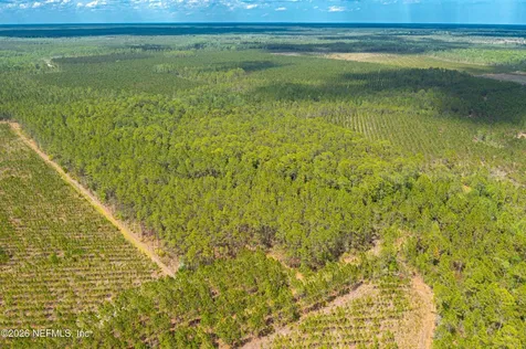 0 County Road 229 Sanderson FL 32087