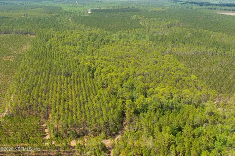 0 County Road 229 Sanderson FL 32087