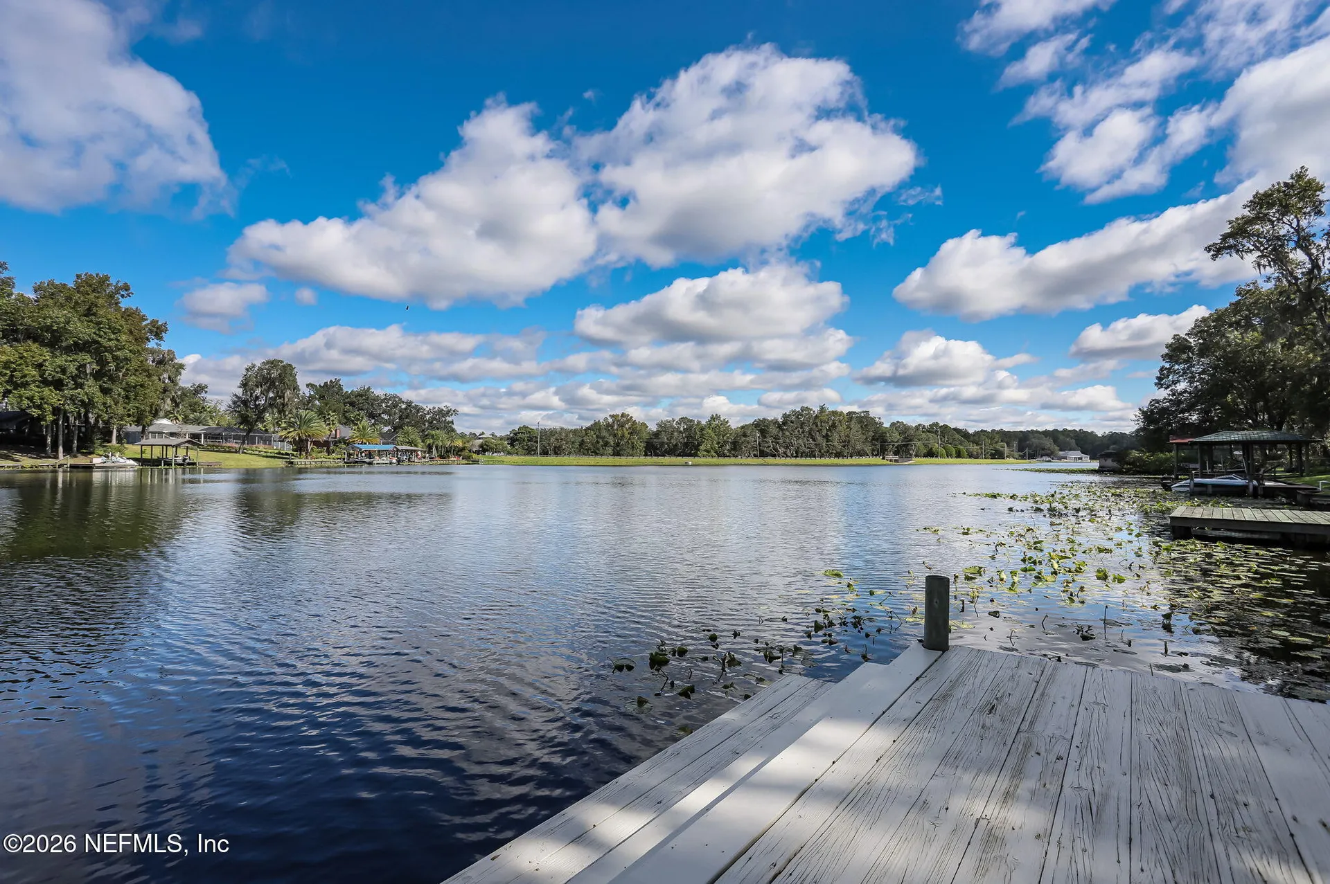 1099 Lake Asbury Drive Green Cove Springs FL 32043