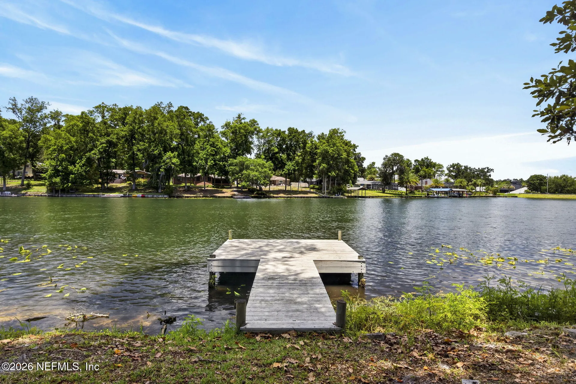 1099 Lake Asbury Drive Green Cove Springs FL 32043
