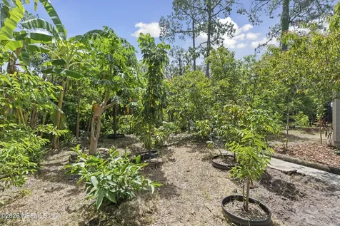 1166 Harmony Drive N St. Johns FL 32259