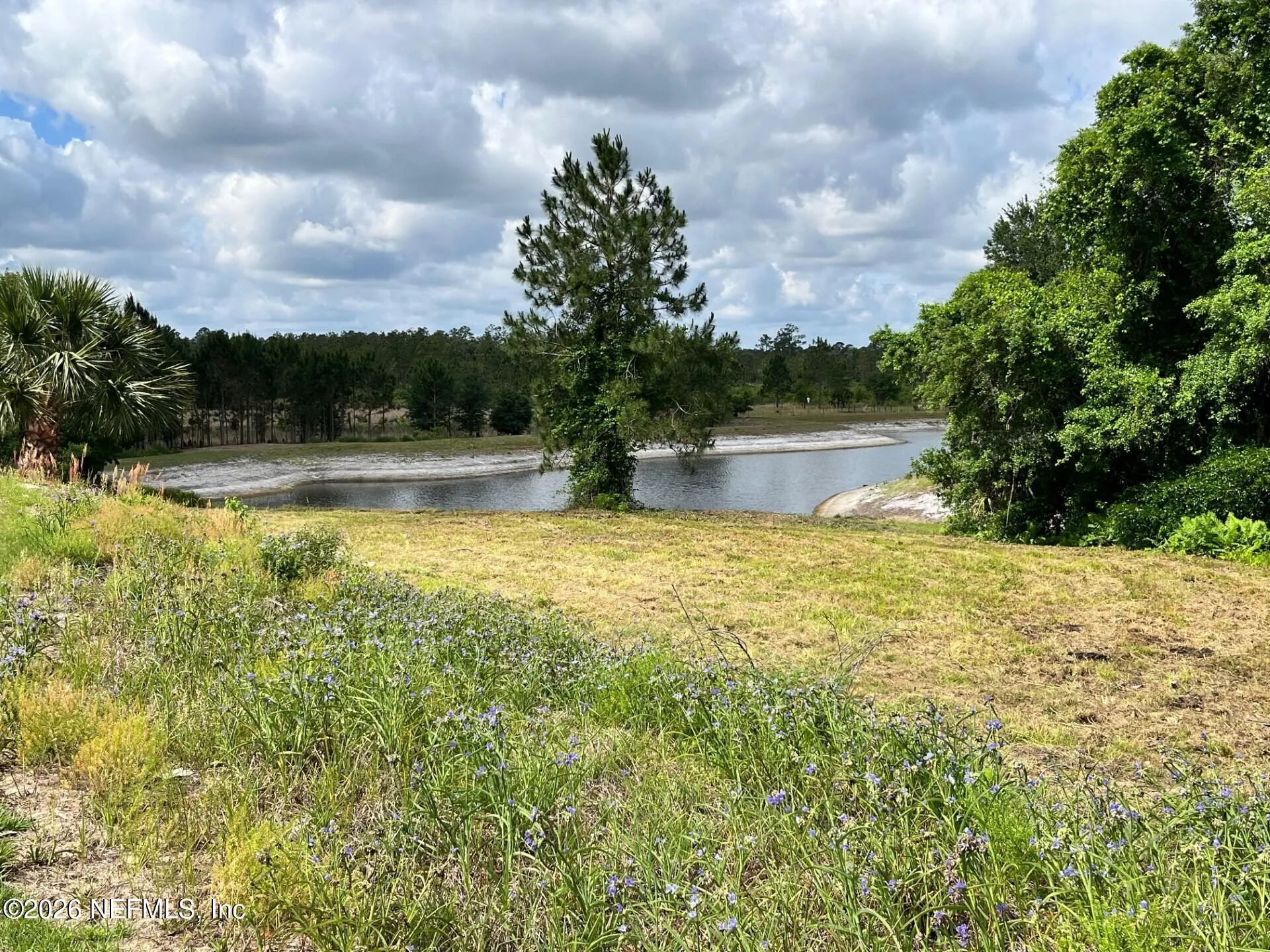 203 Village Drive Welaka FL 32193