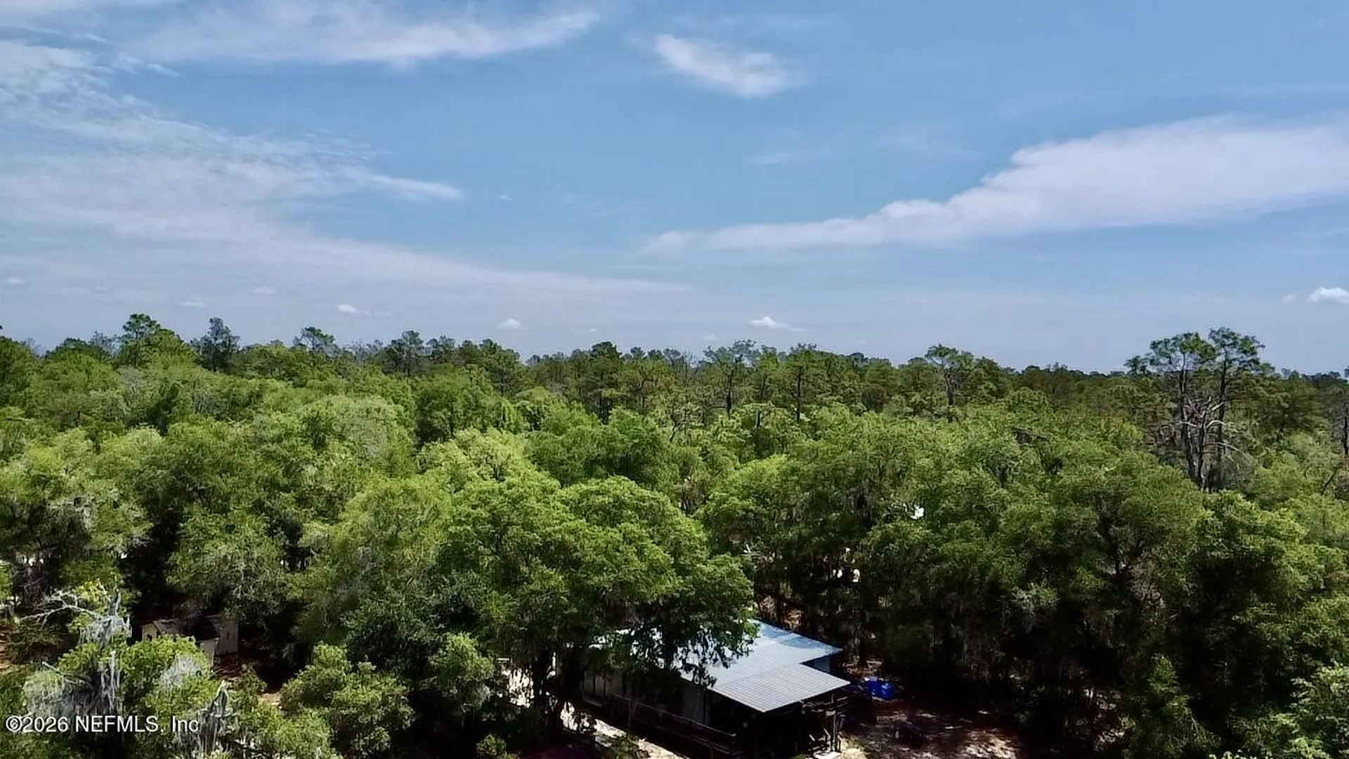 115 Little Hewitt Lane Interlachen FL 32148