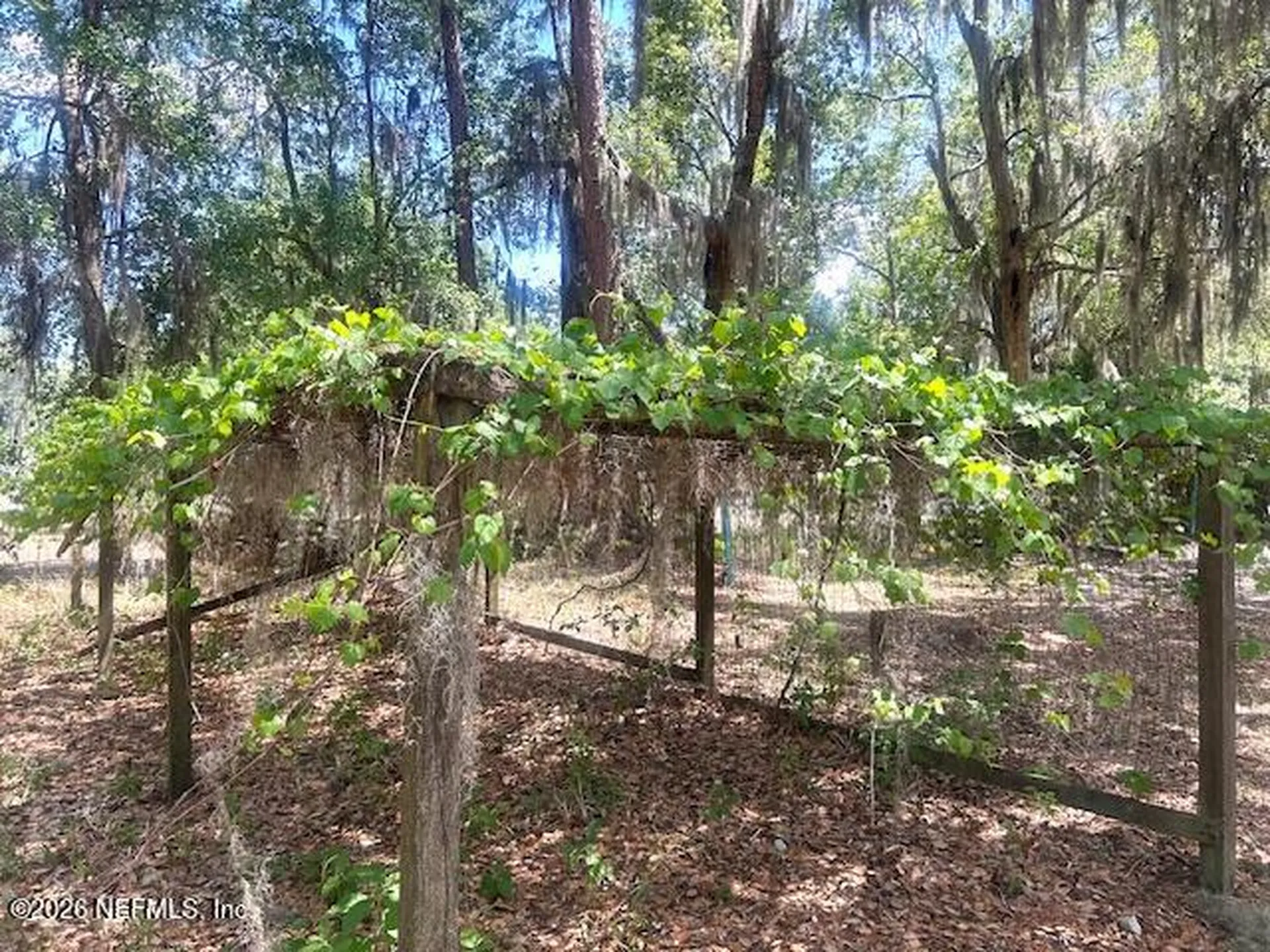8149 SW 155th Terrace Starke FL 32091