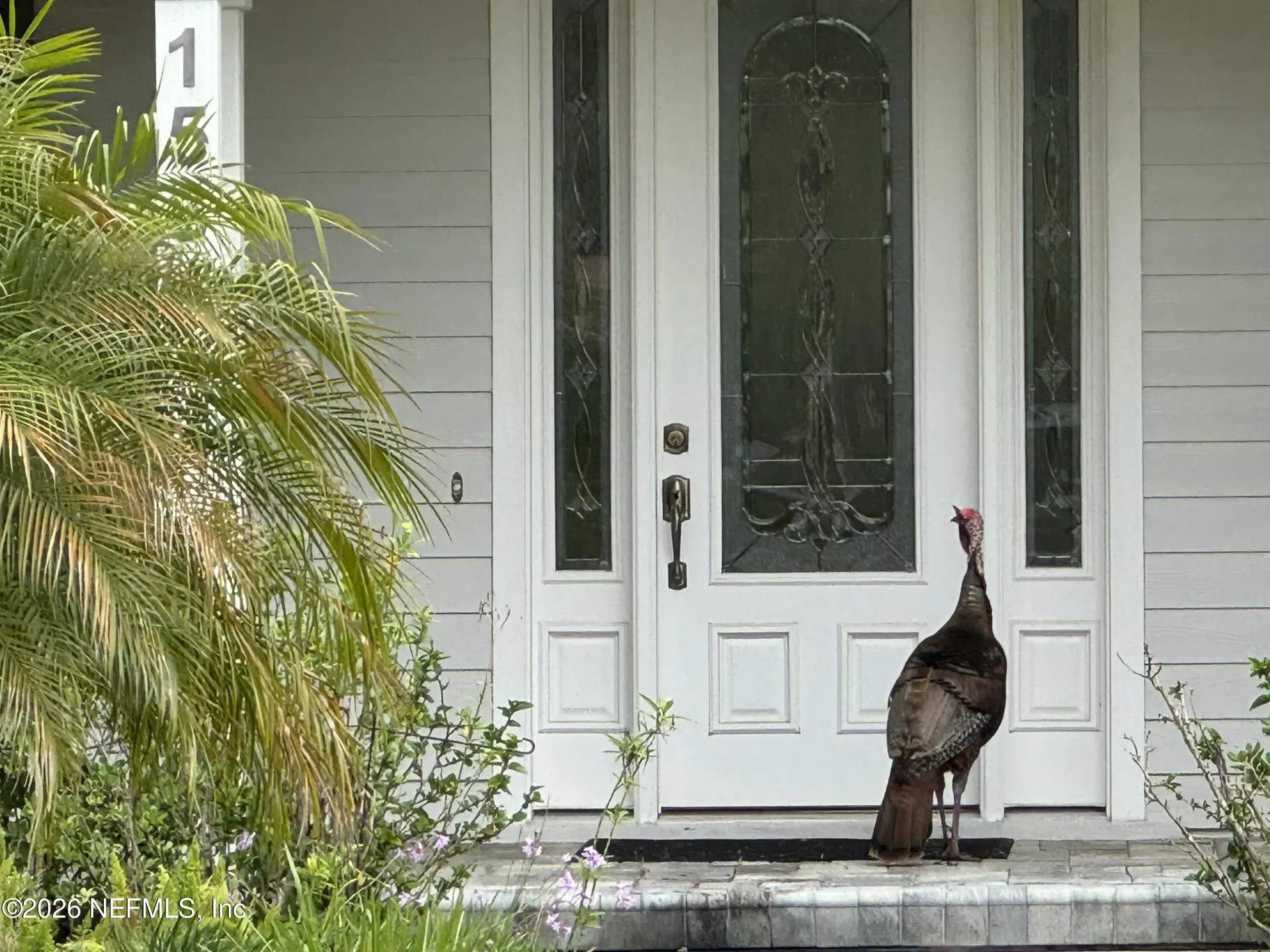 156 & 158 Mount Royal Avenue Crescent City FL 32112