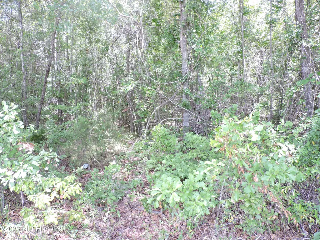 3725 County Road 315a Green Cove Springs FL 32043