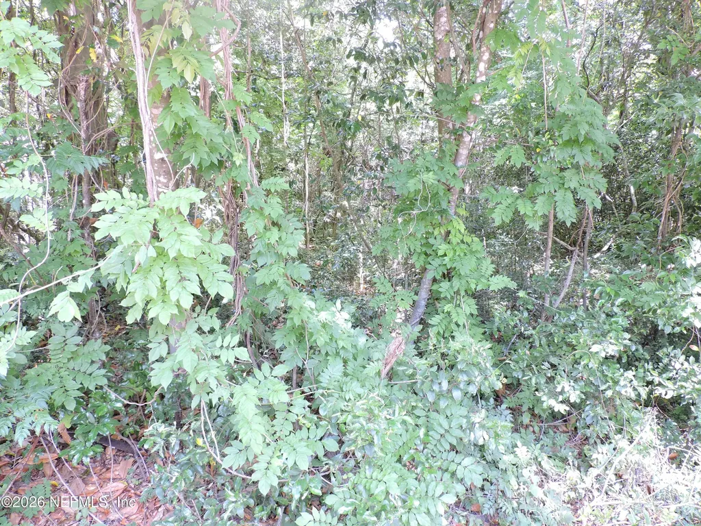 3725 County Road 315a Green Cove Springs FL 32043