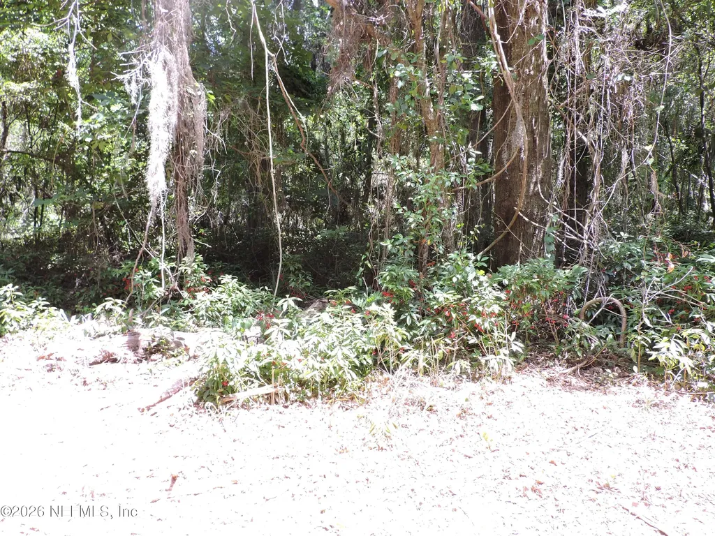 3725 County Road 315a Green Cove Springs FL 32043