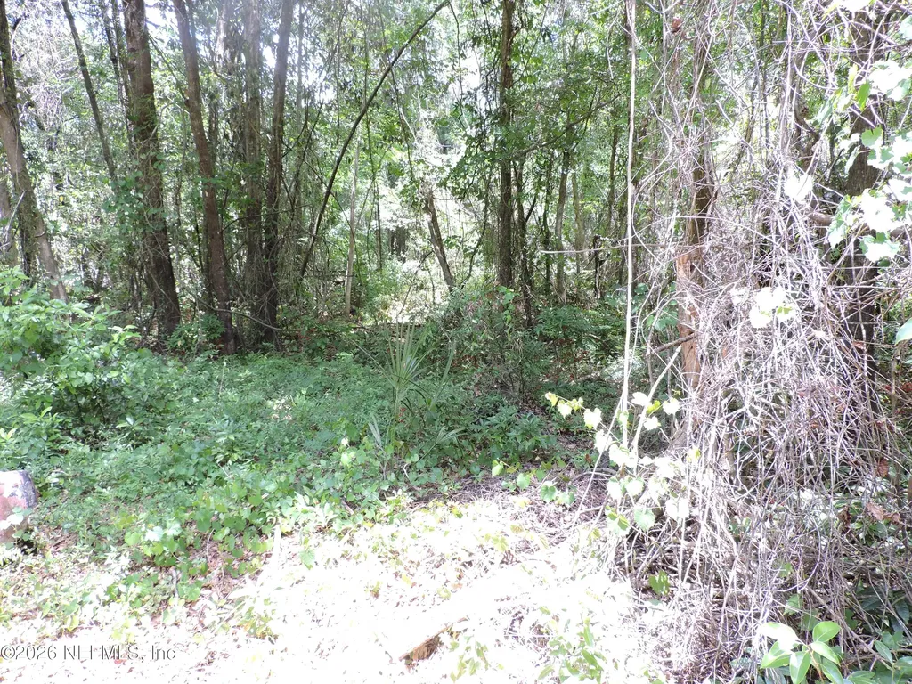 3725 County Road 315a Green Cove Springs FL 32043