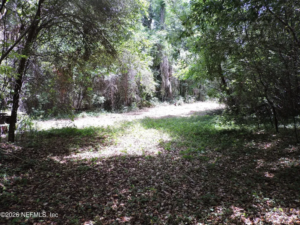 3725 County Road 315a Green Cove Springs FL 32043