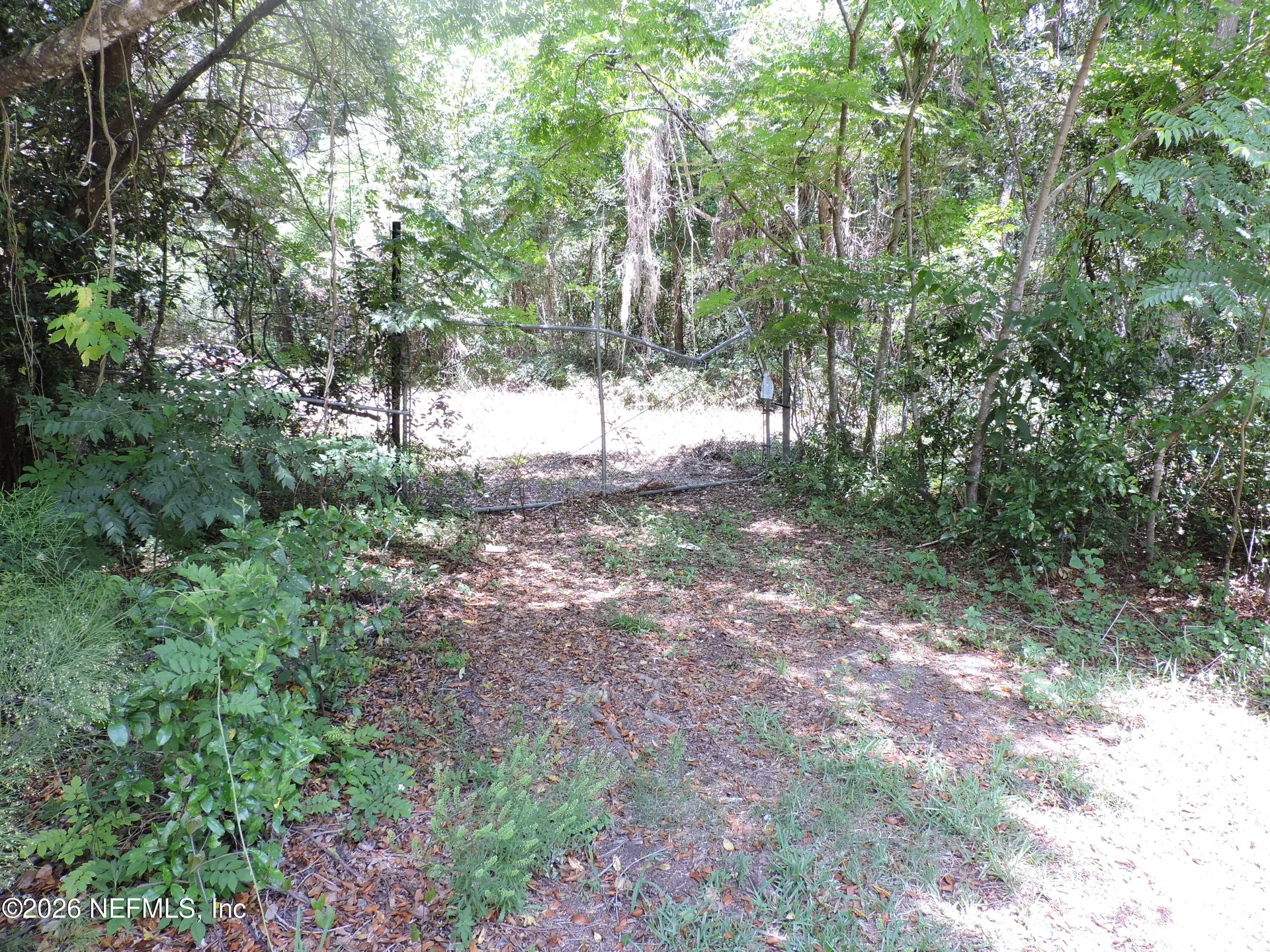 3725 County Road 315a Green Cove Springs FL 32043