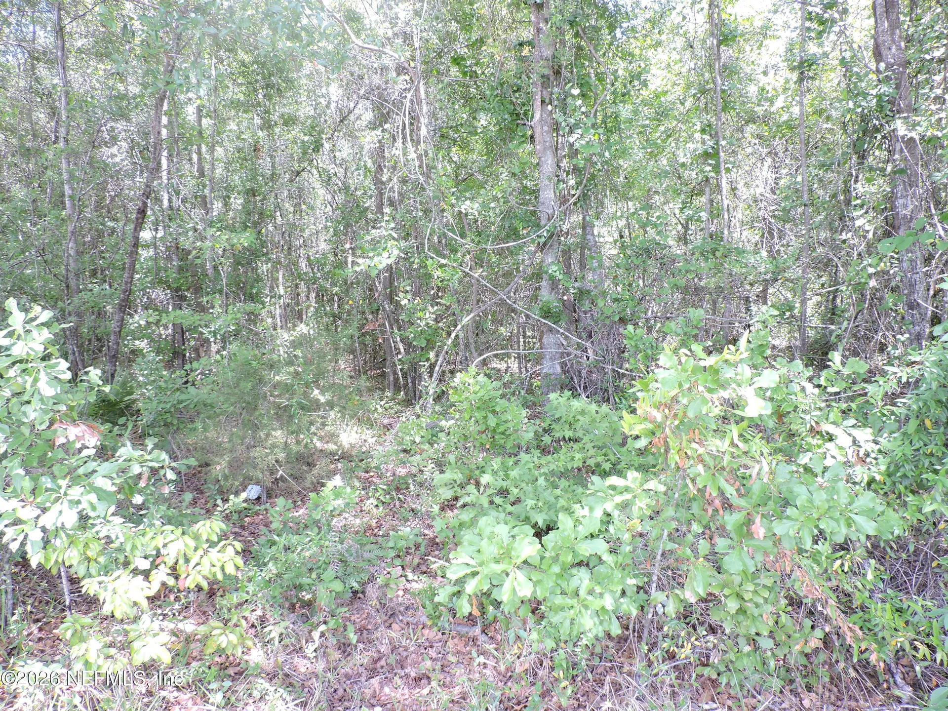 3725 County Road 315a Green Cove Springs FL 32043