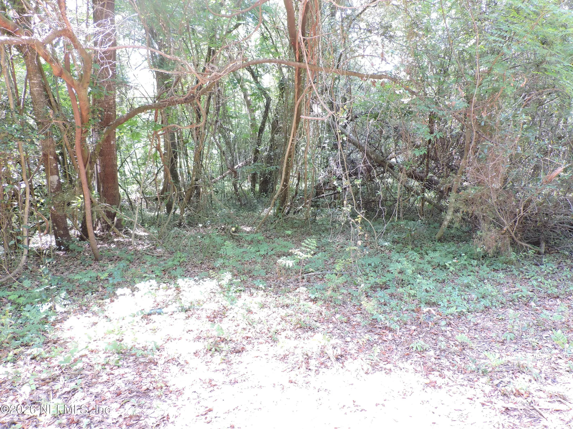 3725 County Road 315a Green Cove Springs FL 32043