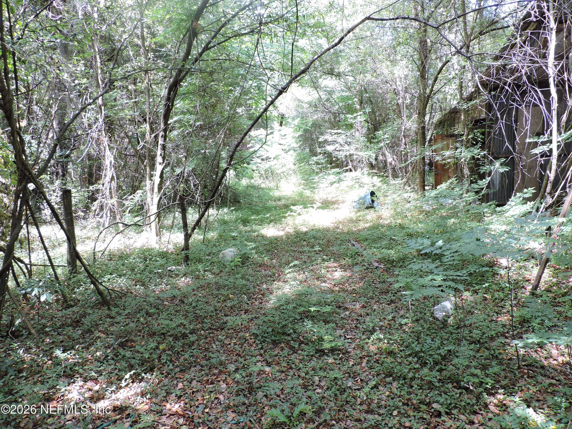 3725 County Road 315a Green Cove Springs FL 32043