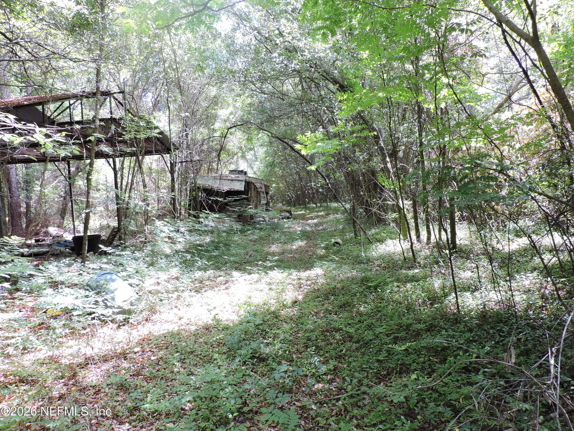 3725 County Road 315a Green Cove Springs FL 32043