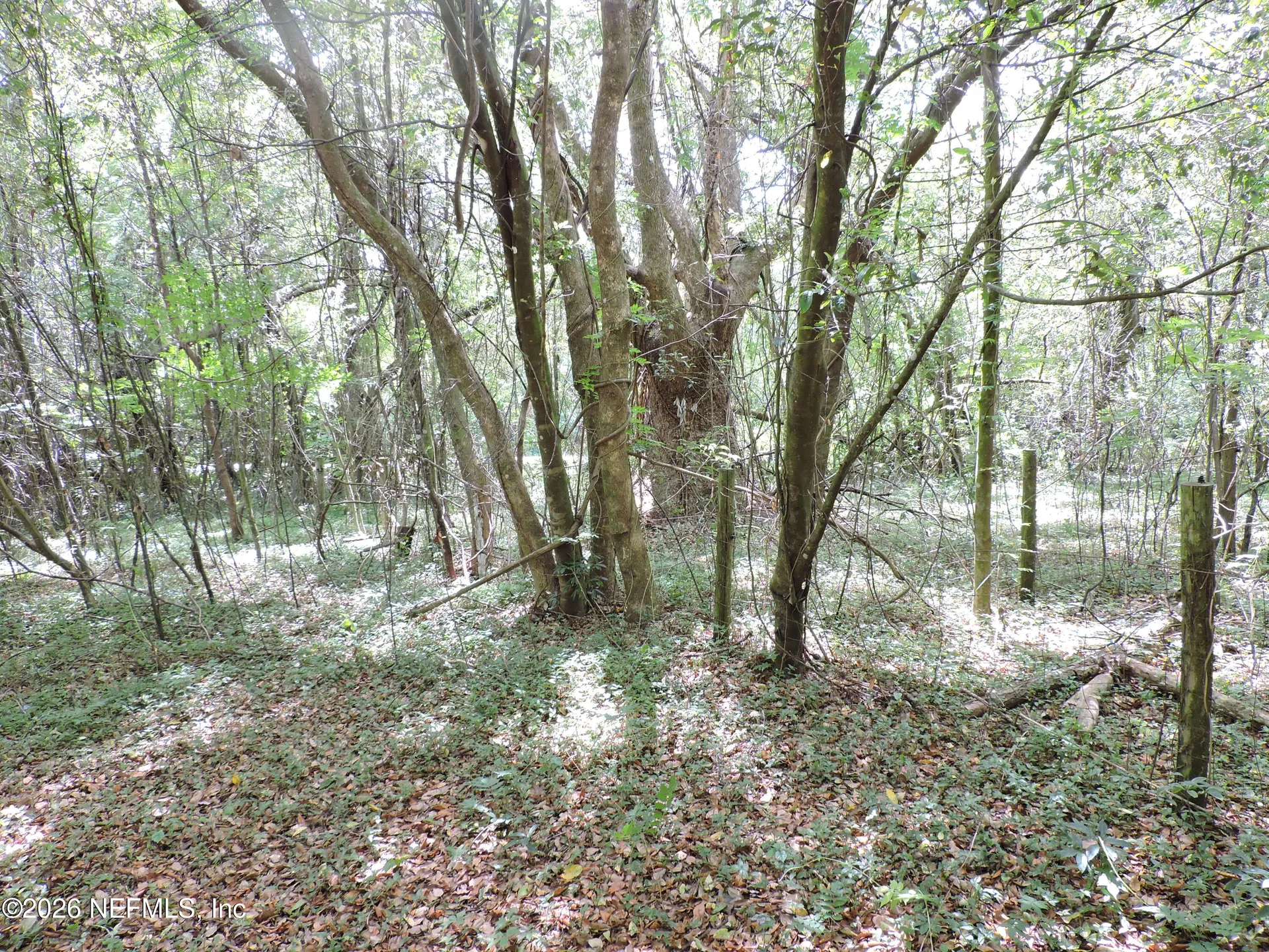 3725 County Road 315a Green Cove Springs FL 32043