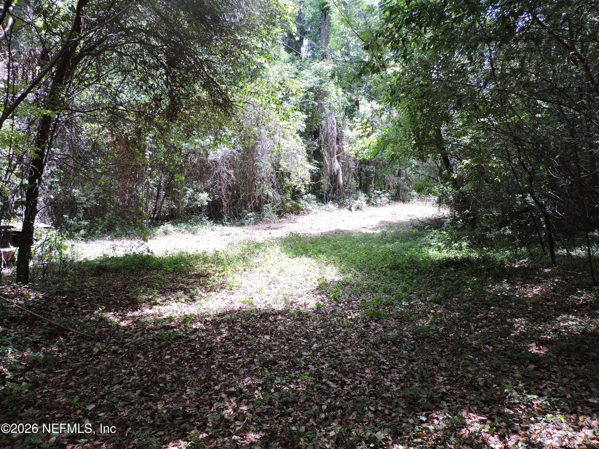 3725 County Road 315a Green Cove Springs FL 32043