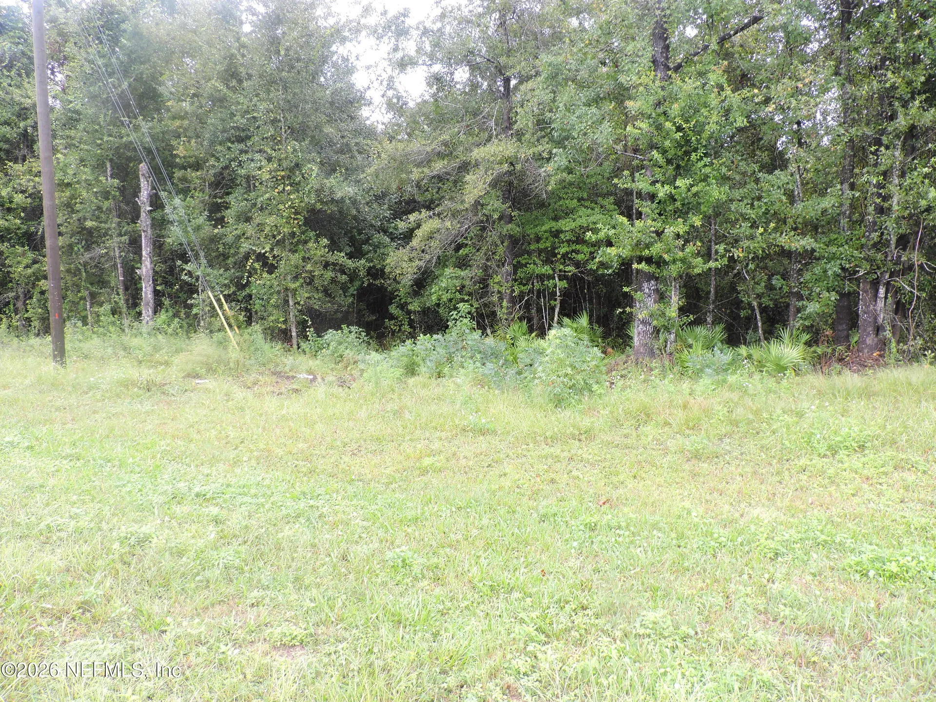 3725 County Road 315a Green Cove Springs FL 32043