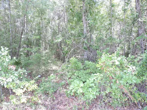 3725 County Road 315a Green Cove Springs FL 32043