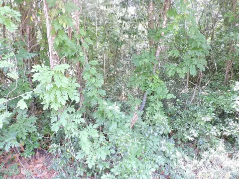 3725 County Road 315a Green Cove Springs FL 32043