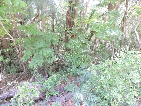 3725 County Road 315a Green Cove Springs FL 32043