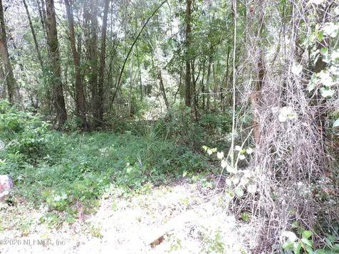 3725 County Road 315a Green Cove Springs FL 32043