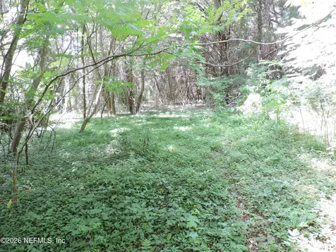 3725 County Road 315a Green Cove Springs FL 32043