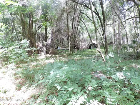 3725 County Road 315a Green Cove Springs FL 32043