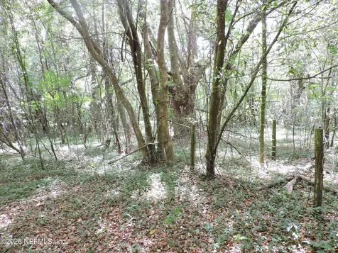 3725 County Road 315a Green Cove Springs FL 32043
