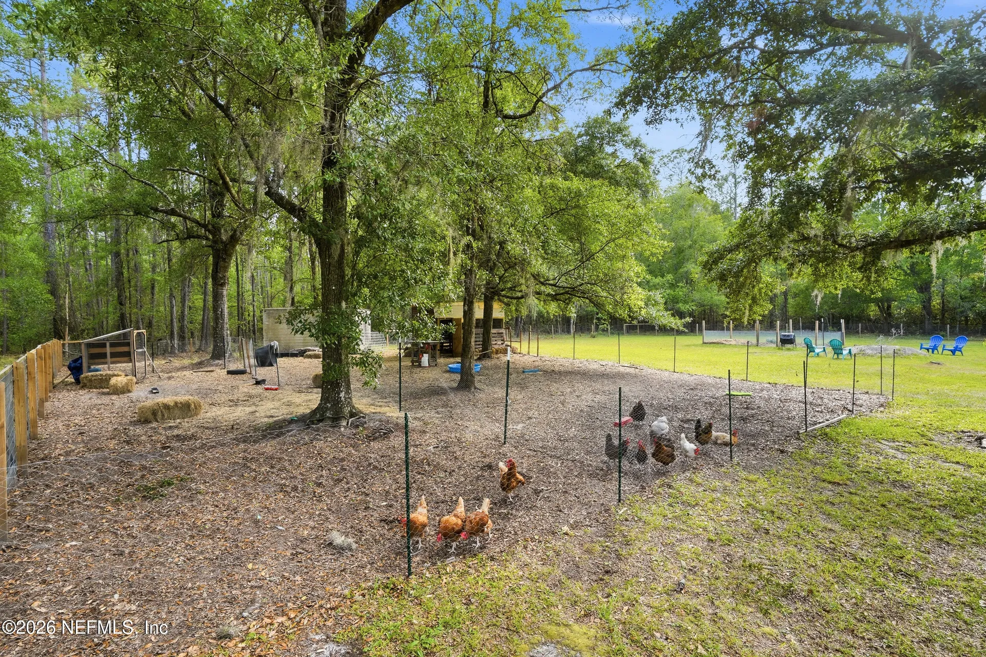 4143 Everett Avenue Middleburg FL 32068