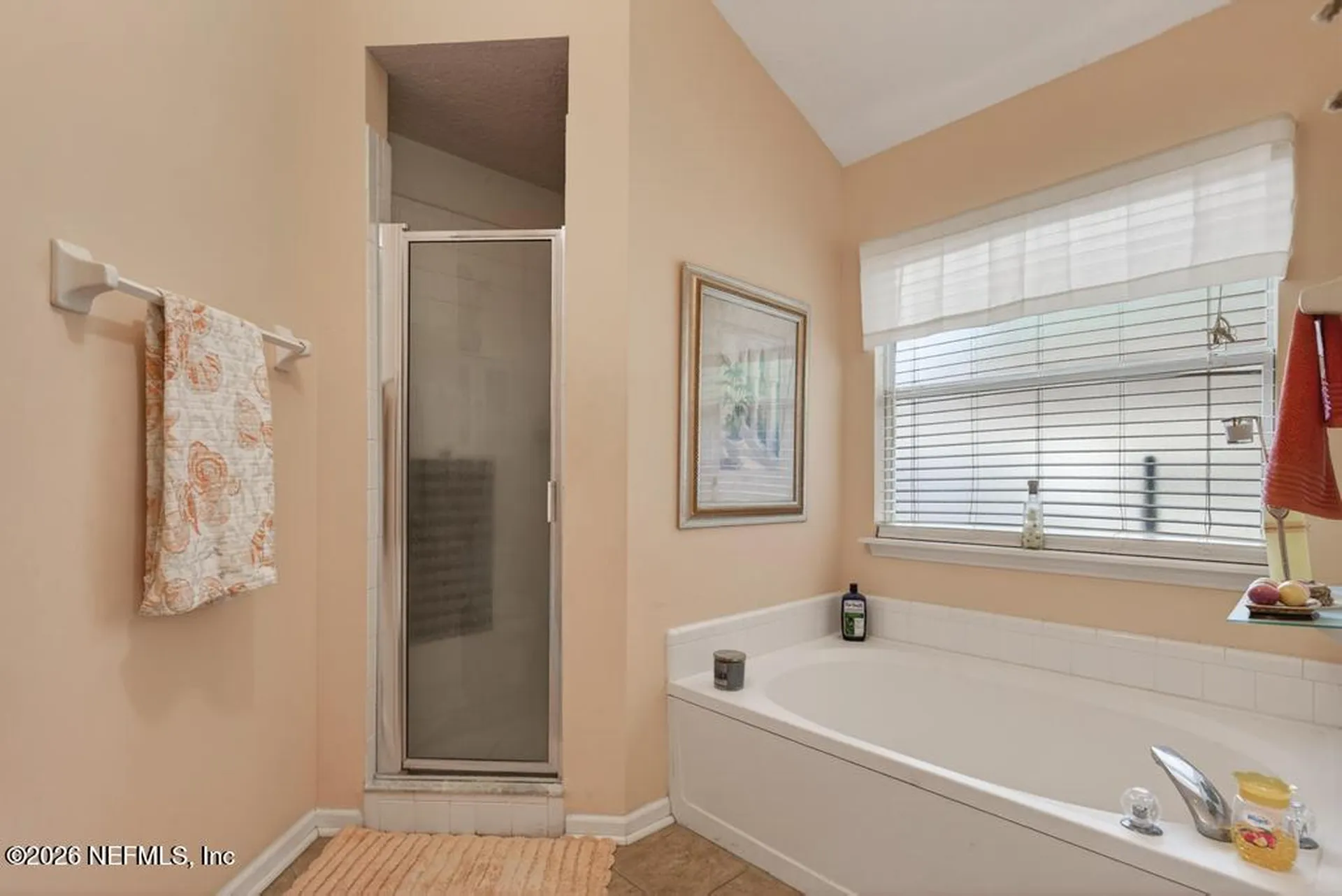 6725 Beatrix Drive Jacksonville FL 32226