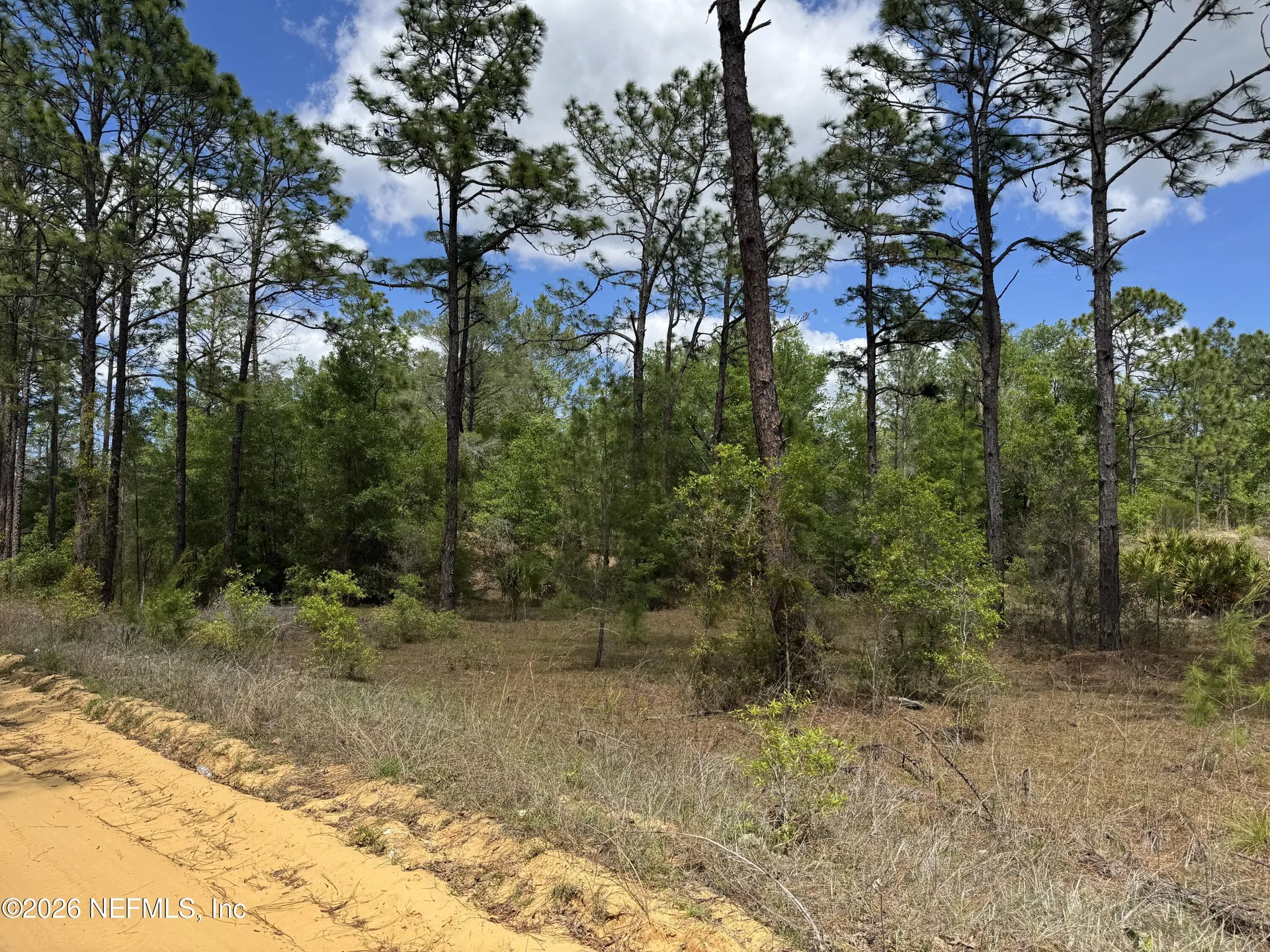 00 Sherman Oaks Drive Circle Interlachen FL 32148